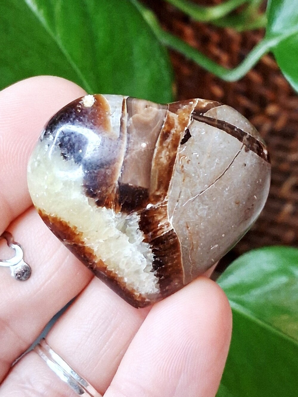 Polished Drafon Septarian Crystal Heart Decorative Accent